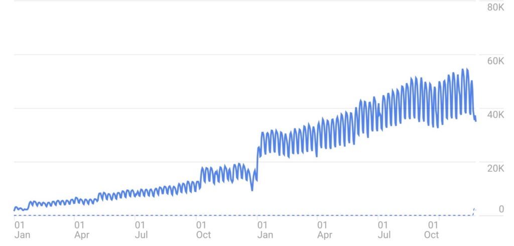 Blue line graph showing growth trend over one year from January to November, with values rising from near zero to approximately 60,000.